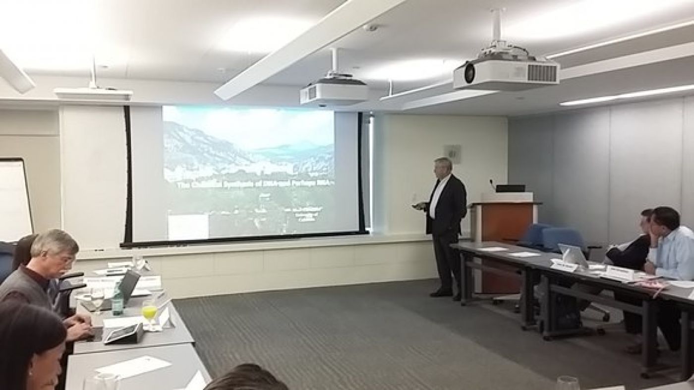 A person giving a presentation with a projector screen behind